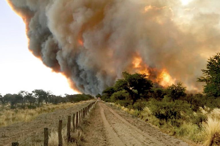 Ecología social. Entre 2001 y 2017 en La Pampa argentina se quemaron casi 520.000 hectáreas por año: solo el 5% fueron de origen natural