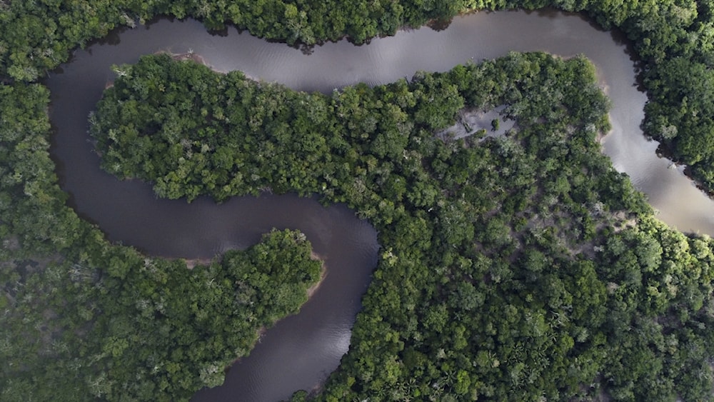 Perú y EE.UU. canjearán deuda por acción climática en la Amazonía